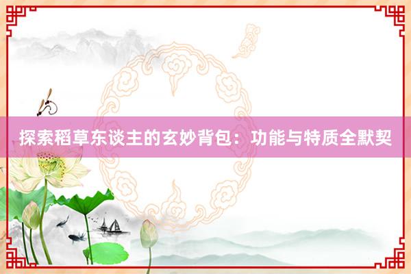 探索稻草东谈主的玄妙背包：功能与特质全默契