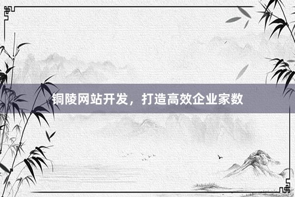 铜陵网站开发，打造高效企业家数